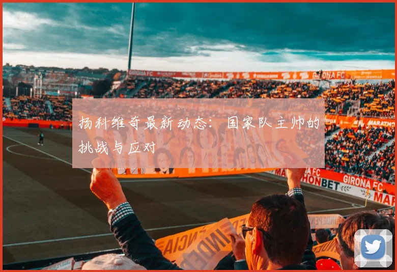 扬科维奇最新动态：国家队主帅的挑战与应对