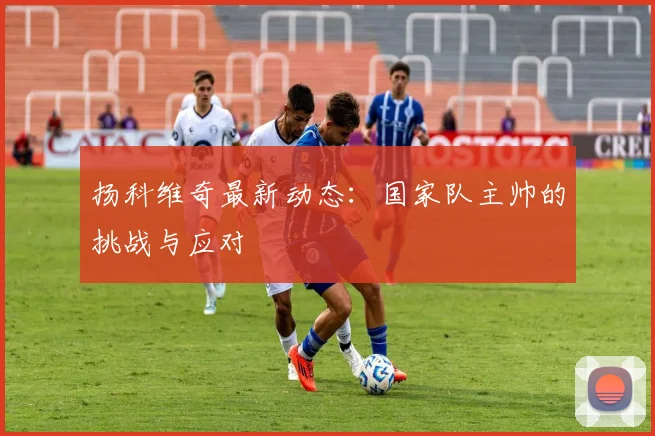 扬科维奇最新动态:国家队主帅的挑战与应对